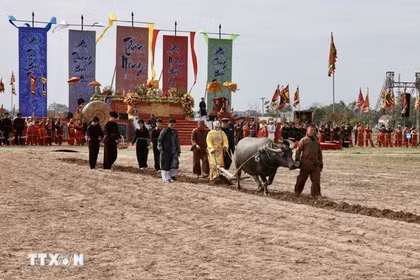 The Doi Son Ploughing Festival in Ninh Binh province prays for favourable weather and bountiful harvests. (Photo: VNA) 