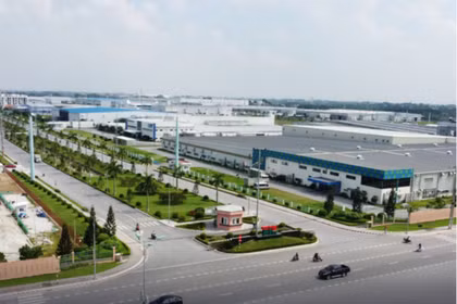 Strong economic conglomerates drive domestic economic growth