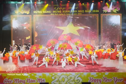 The festive atmosphere welcoming the Year of the Horse 2026 fills communities across the country. (Photo: VNA)