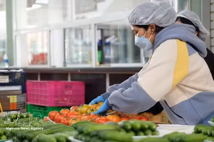 Vietnam’s fruit sector reaches new milestones 