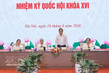 NA Chairman Tran Thanh Man speaks at the conference on June 16. (Photo: VNA)