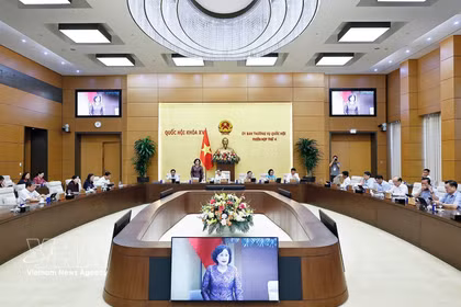 NA Vice Chairwoman Nguyen Thi Hong speaks at the session on July 14. (Photo: VNA)