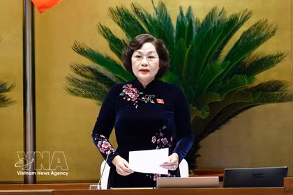 NA Vice Chairwoman Nguyen Thi Hong speaks at the NA's working session on April 21. (Photo: VNA)