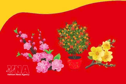 Spring Fair 2026 features Tet flowers, ornamental plants
