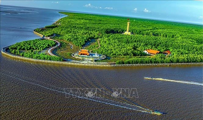 Marine economic development is set to become the main growth driver of Ca Mau province. (Photo: VNA)