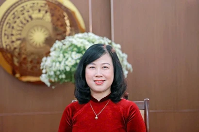 Member of the Party Central Committee and Minister of Health Dao Hong Lan (Photo: VNA)
