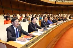 Deputies confident in success of 15th NA’s last session
