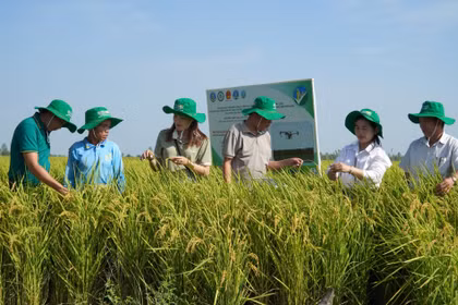 Vietnam makes strides in sustainable agricultural development