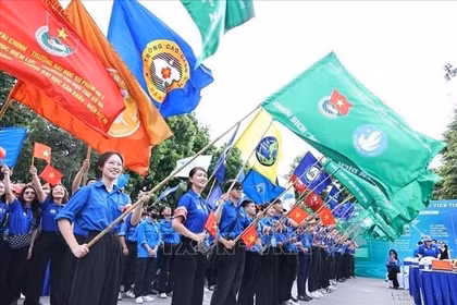 Youth drive innovation in new development era