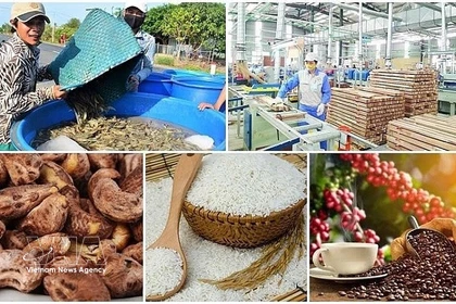 Agro-forestry-fishery exports rise over 14% in H1