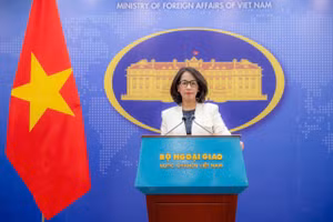 Vietnam always respects freedom of navigation, overflight in East Sea: Foreign Ministry 