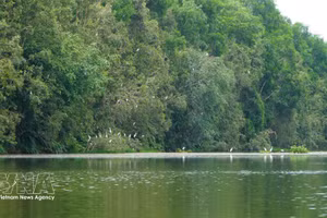 Local initiatives drive Vietnam’s push to protect biodiversity for sustainable future 