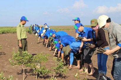 Young union members plant mangrove trees in a coastal protection forest area. (Photo: VNA)