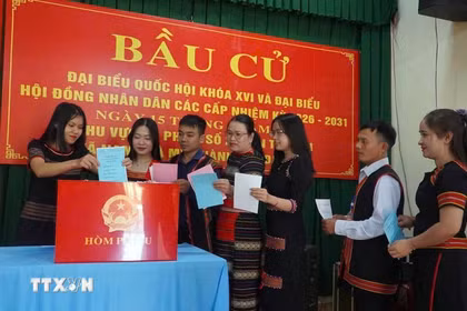 Voters in a mountainous area of Da Nang city cast their ballots. (Photo: VNA) 
