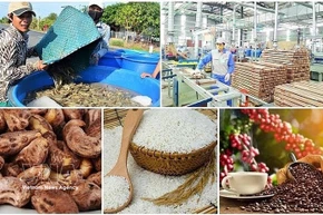 Agro-forestry-fishery exports rise over 14% in H1